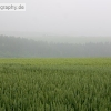 PC1_Bild091.jpg